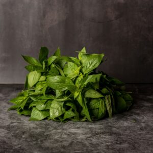 בזיליקום קג