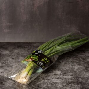 בצל ירוק י'ח