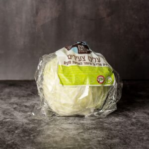 כרוב לבן מהדרין קרטון