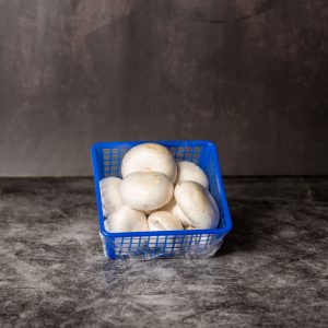 פטריות שמפניון