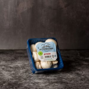 שמפניון זרעית