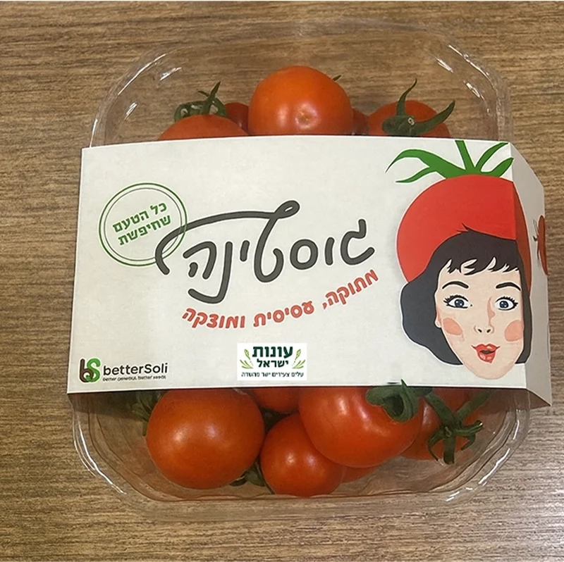 עגבניה גוסטינה