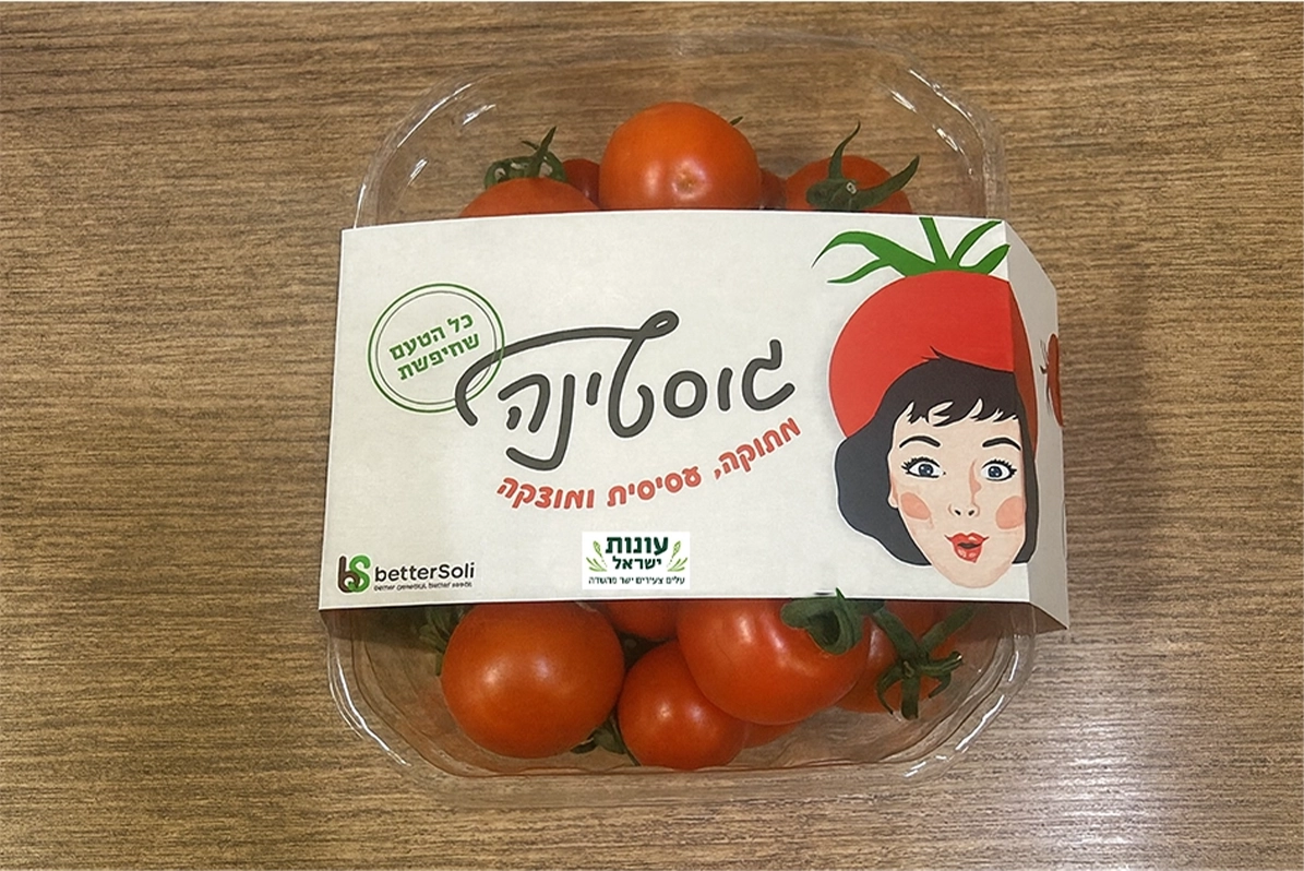 עגבניה גוסטינה